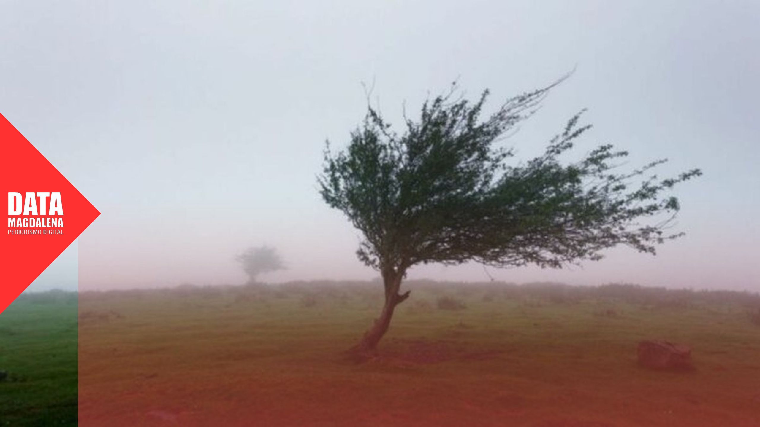 Alerta amarilla por vientos en Magdalena: r&aacute;fagas de hasta 70 km/h este s&aacute;bado