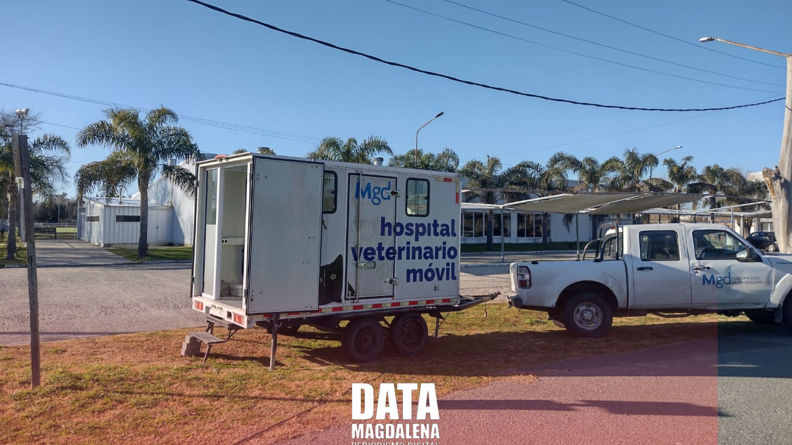 ? Magdalena contin&uacute;a la campa&ntilde;a de zoonosis: castraci&oacute;n y vacunaci&oacute;n gratuita