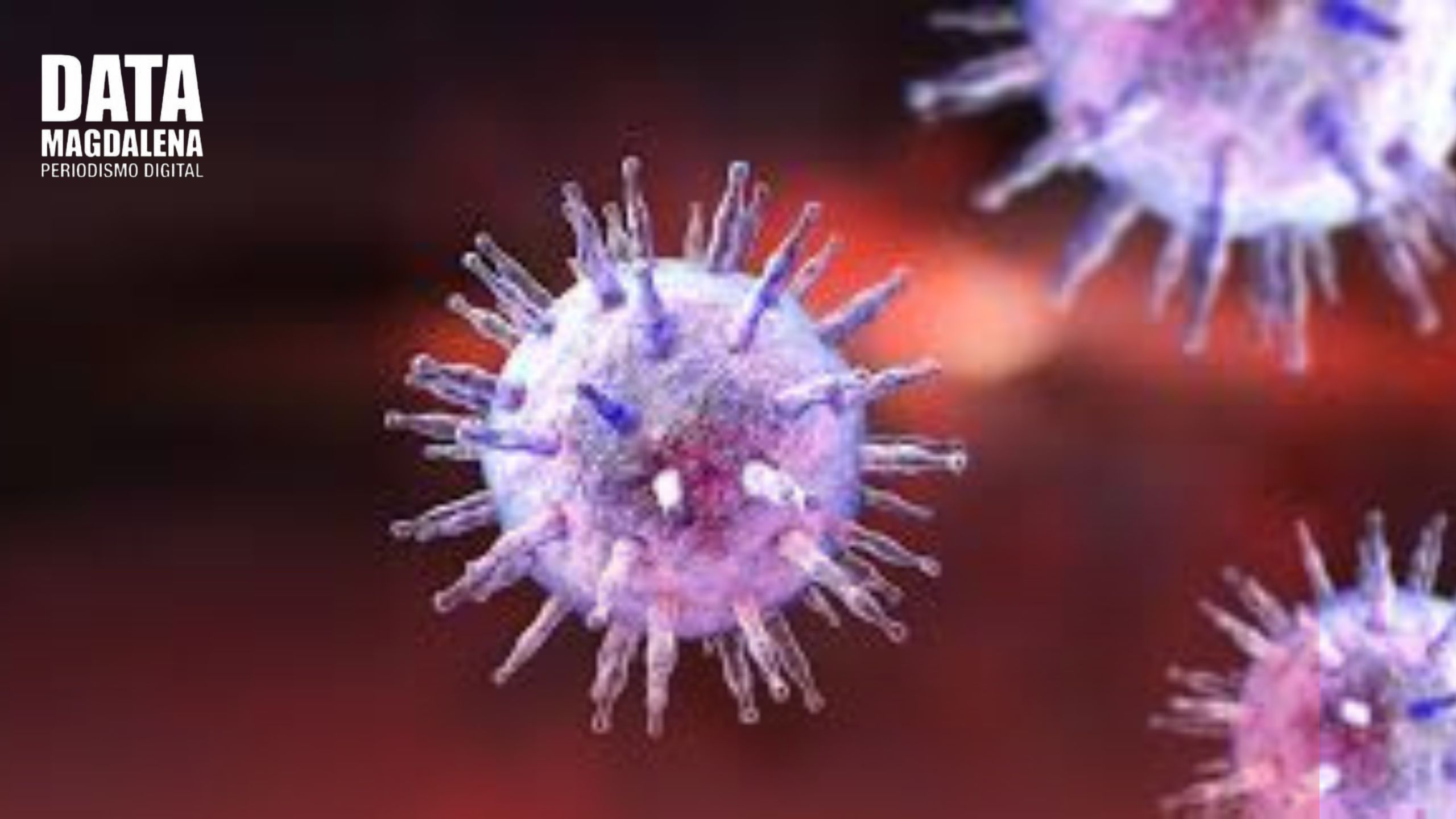 ? Mononucleosis: qu&eacute; es y c&oacute;mo prevenir la enfermedad que caus&oacute; una tragedia en Bariloche