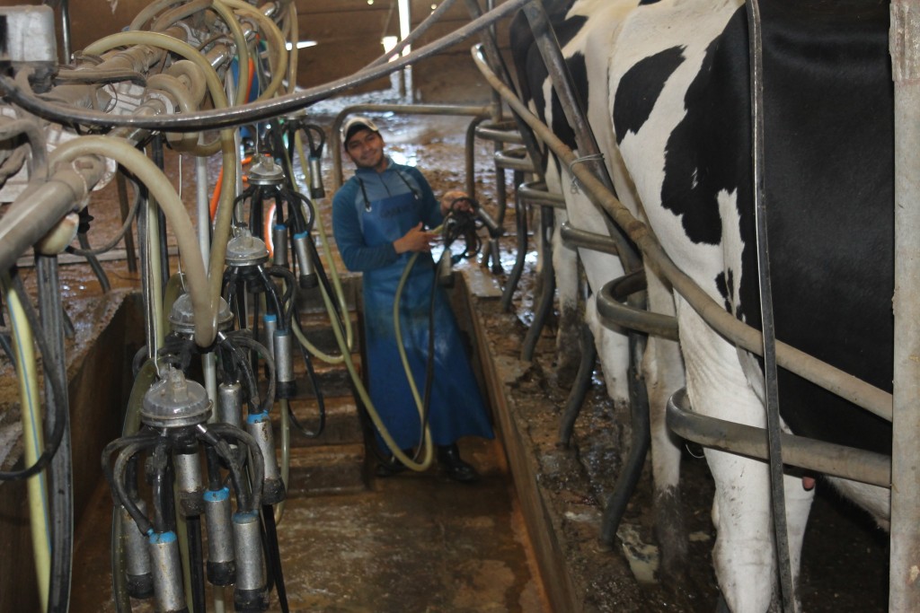 Copa Orejuda Permanece en Don Alfredo: Noche de Honores en la Cena de Premiaci&oacute;n de Juras de Campo 2023